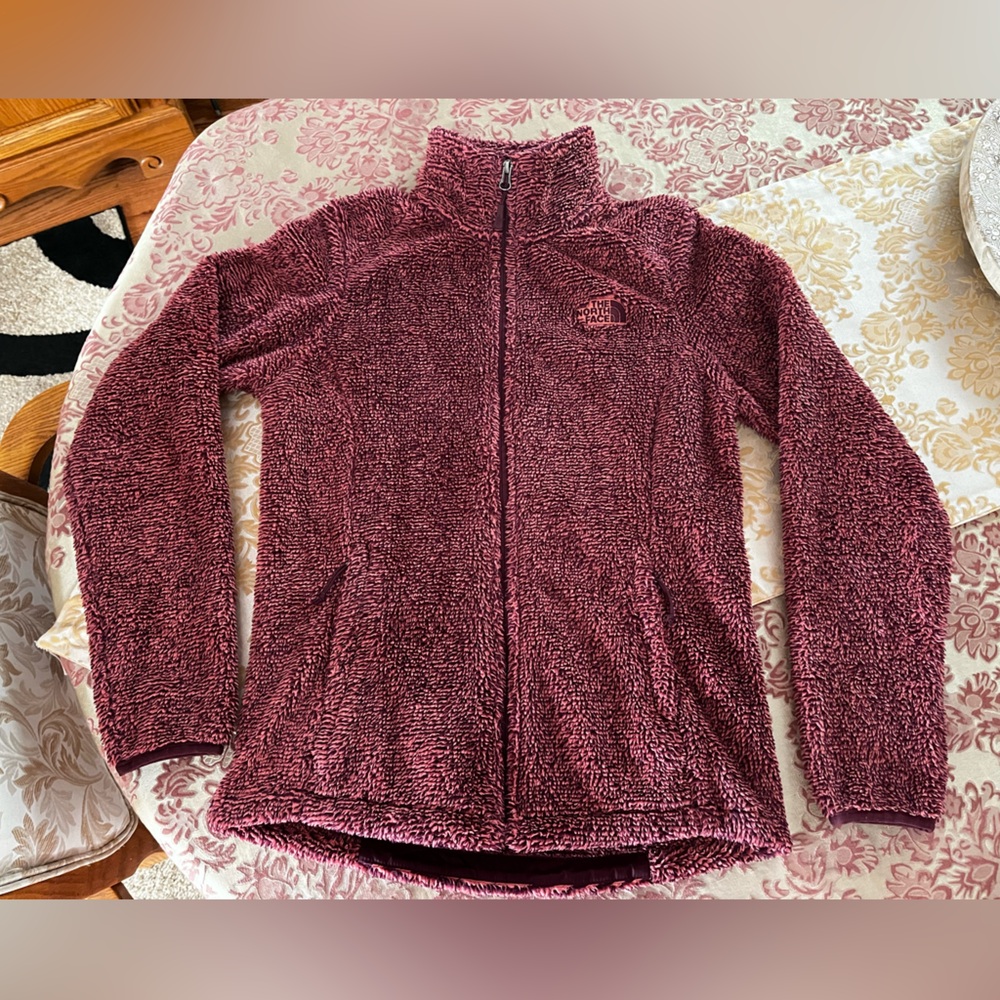 The North Face Fuzzy Fleece EUC small